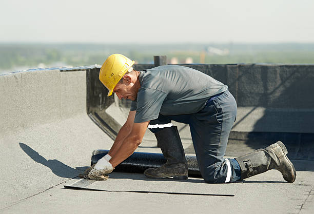 Best Insulation Installation Services in Chillicothe, MO